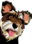 ChordHound Logo